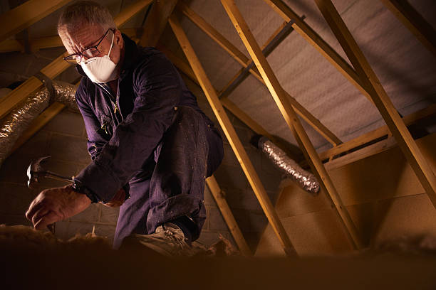 Best Cellulose Insulation in Billings, MT